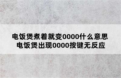 电饭煲煮着就变0000什么意思 电饭煲出现0000按键无反应